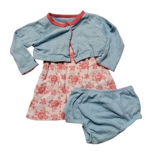 Gerber Blue and Pink Floral Dress Set